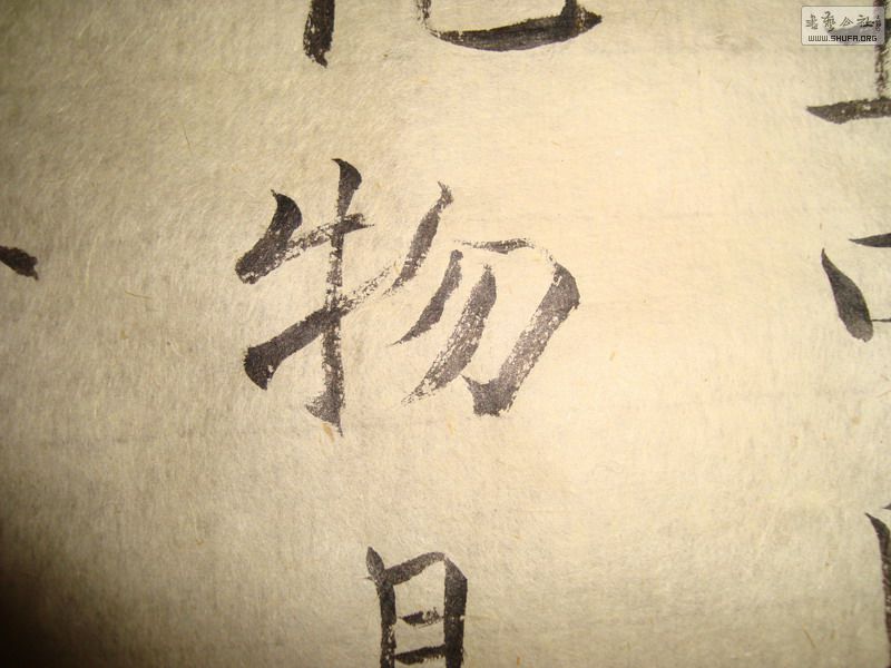 DSC05807.JPG
