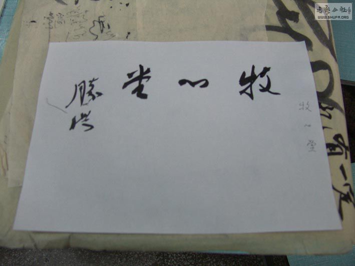 DSC07078.jpg