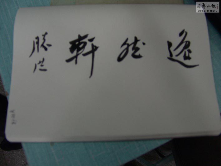 DSC07082.jpg