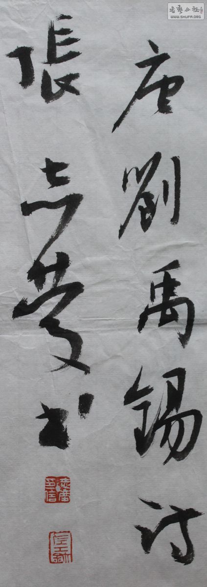 z7.jpg