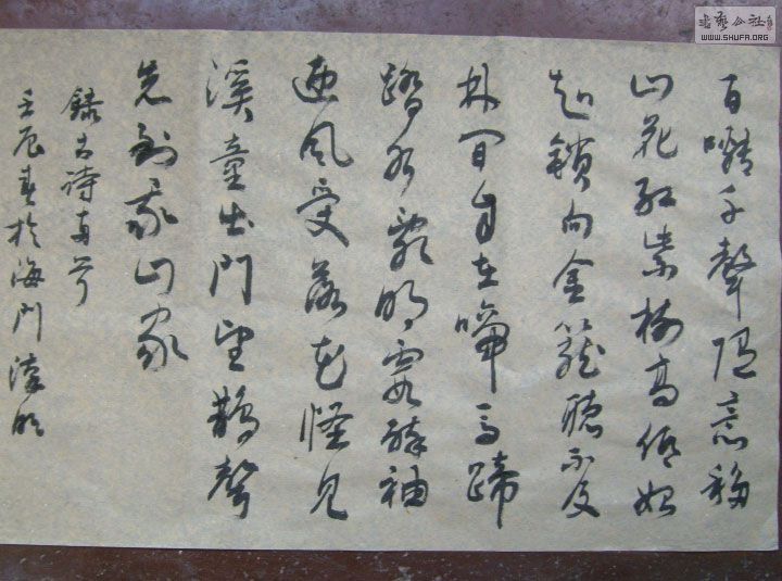 STP610347.jpg