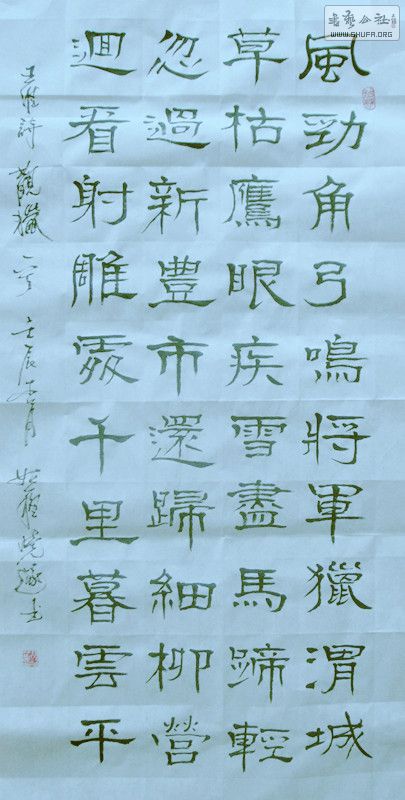 ɳ (9).jpg