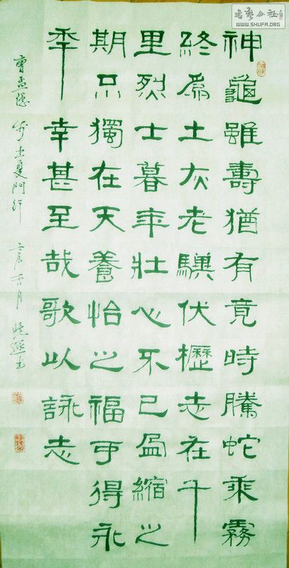 ɳ (14).jpg