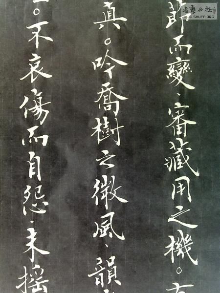 20120319100-.JPG