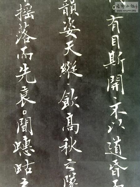 20120319101-.JPG