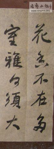 STP610362.jpg