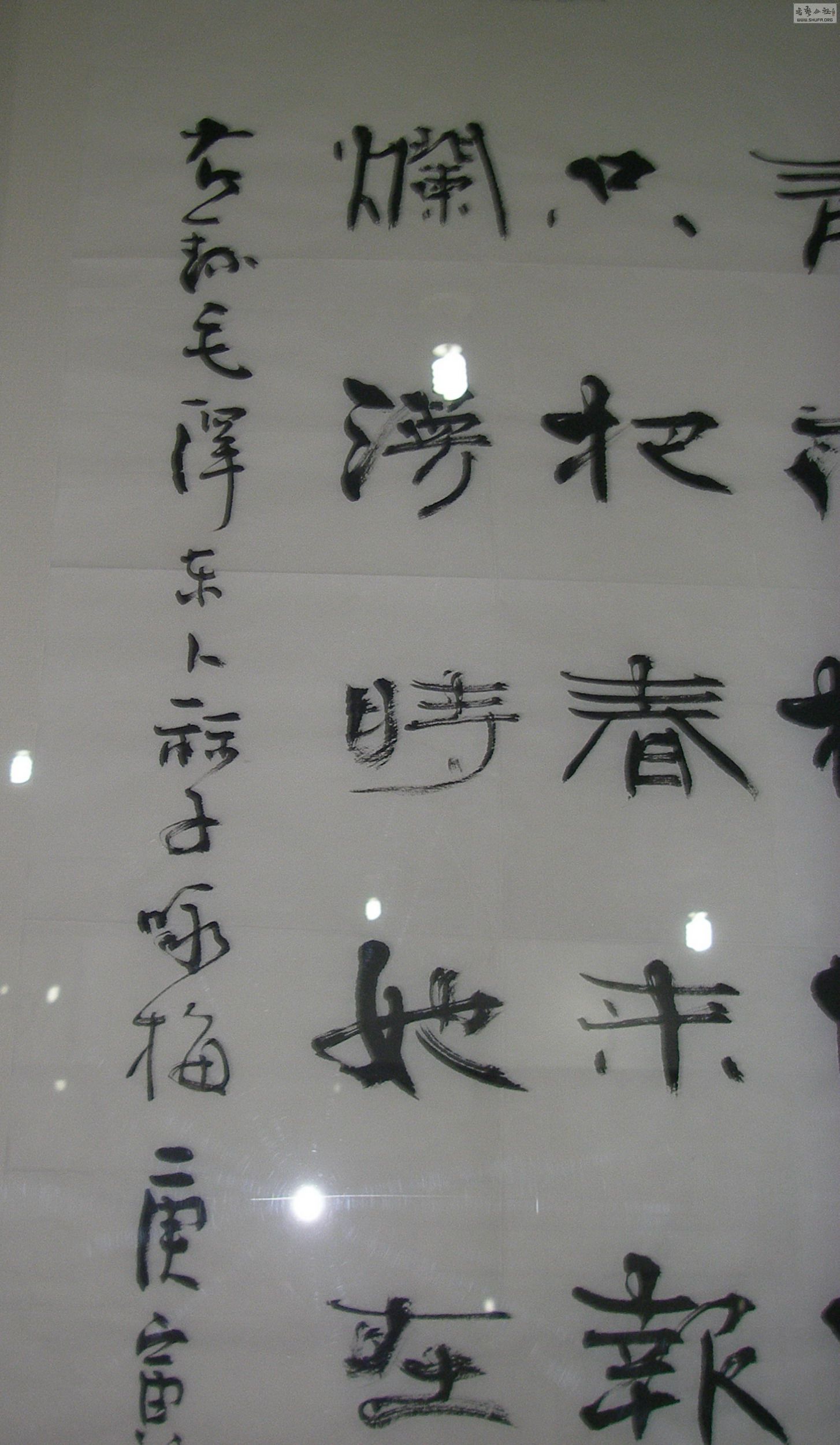P1010008.jpg