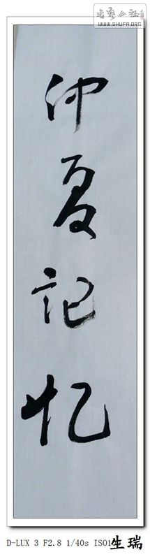 L1020042_.jpg