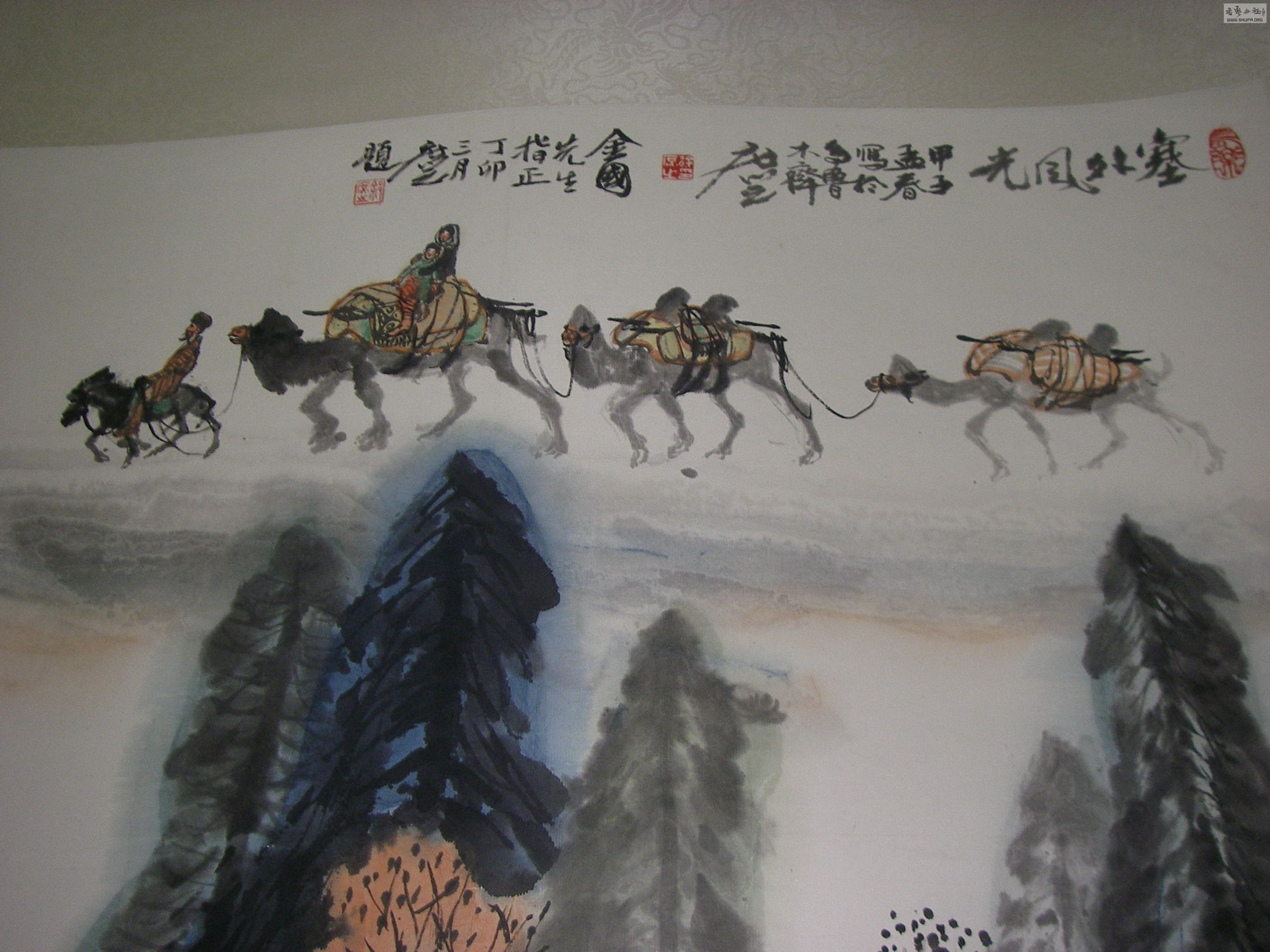 P1010020.jpg