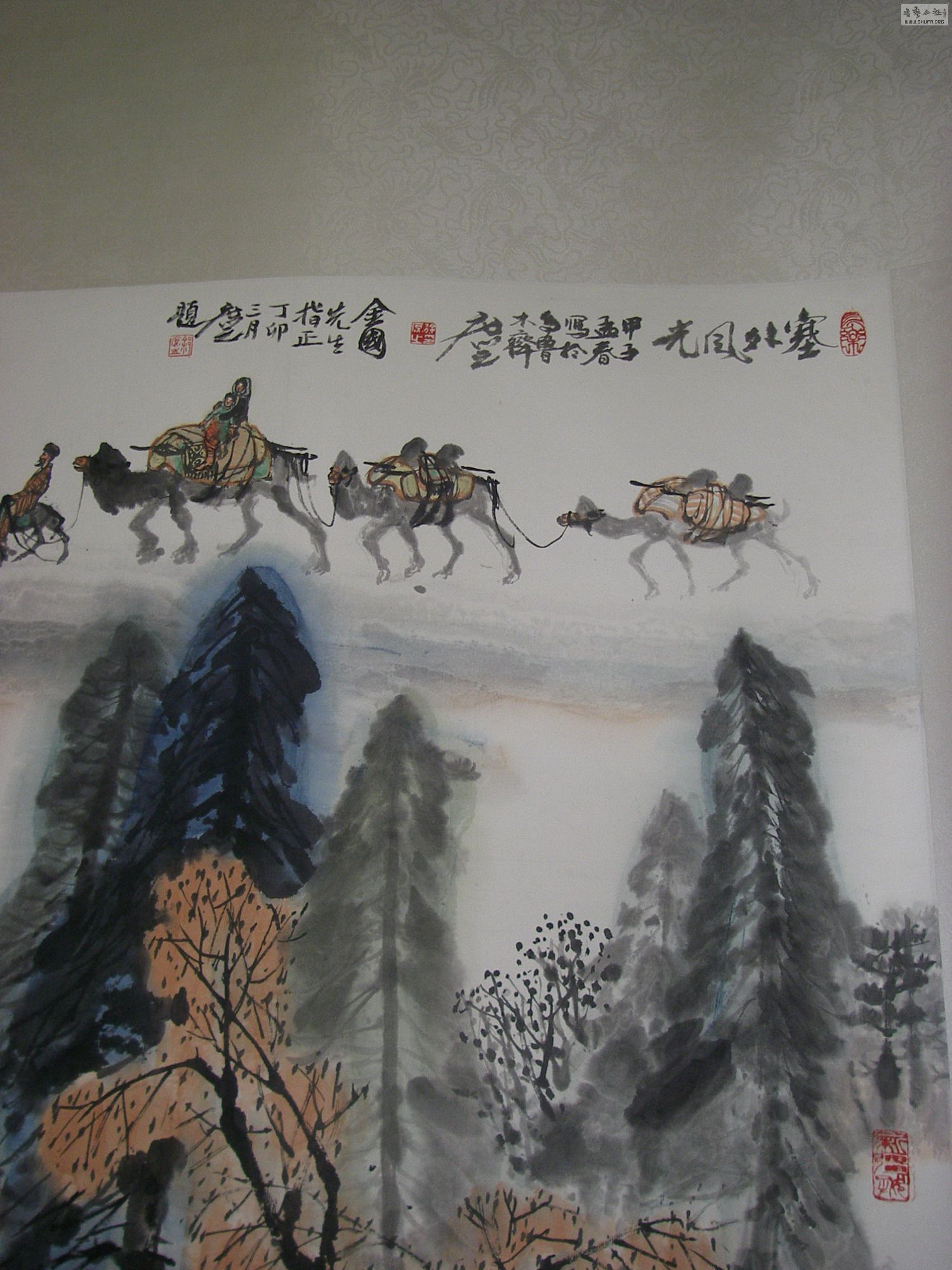 P1010019.jpg