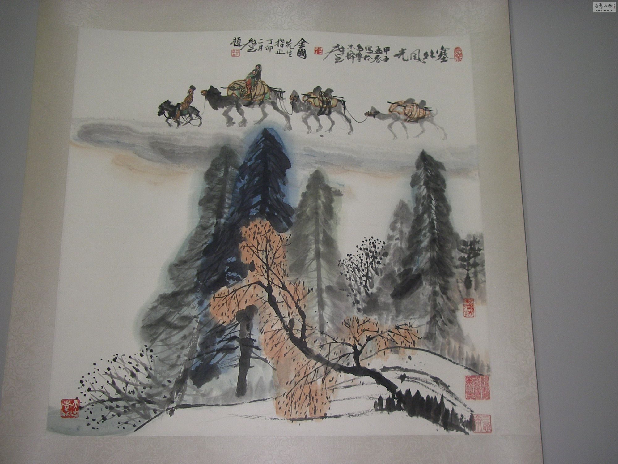 P1010018.jpg