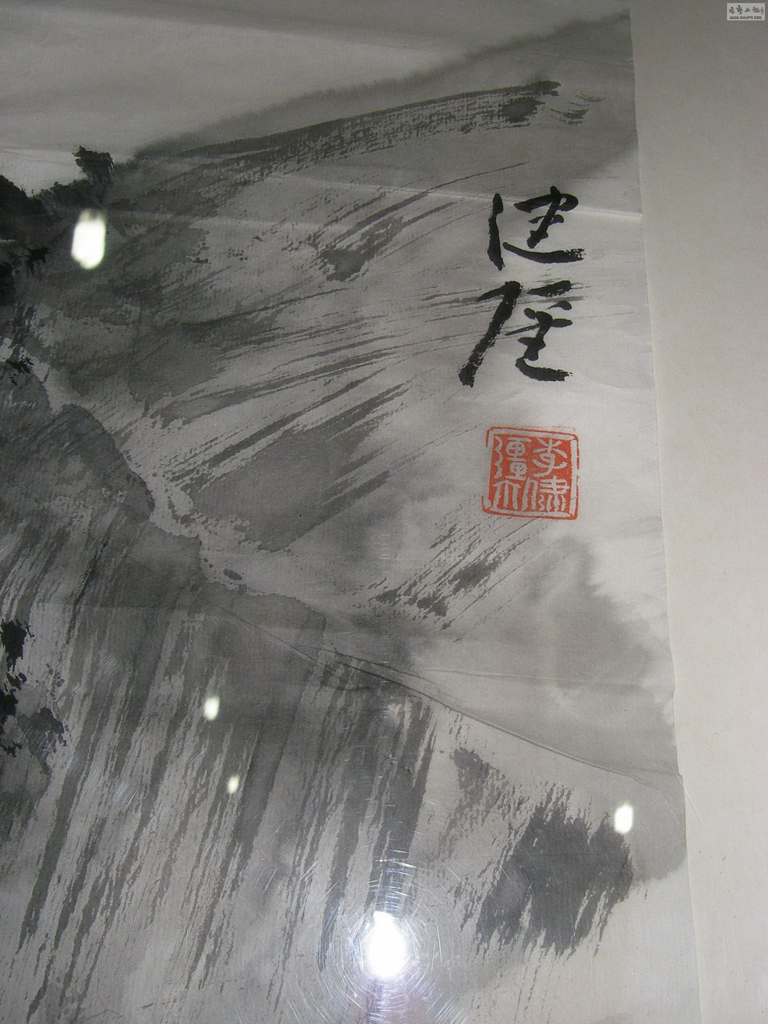 P1010040.jpg