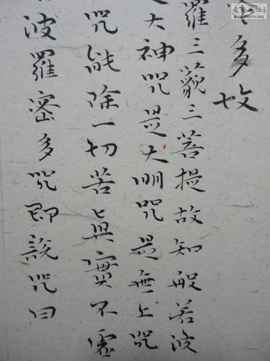 DSC01091_.jpg