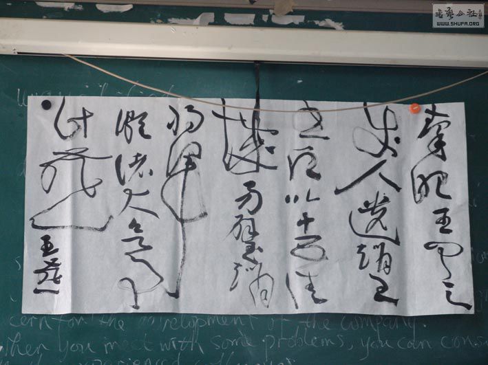 DSC07419.jpg