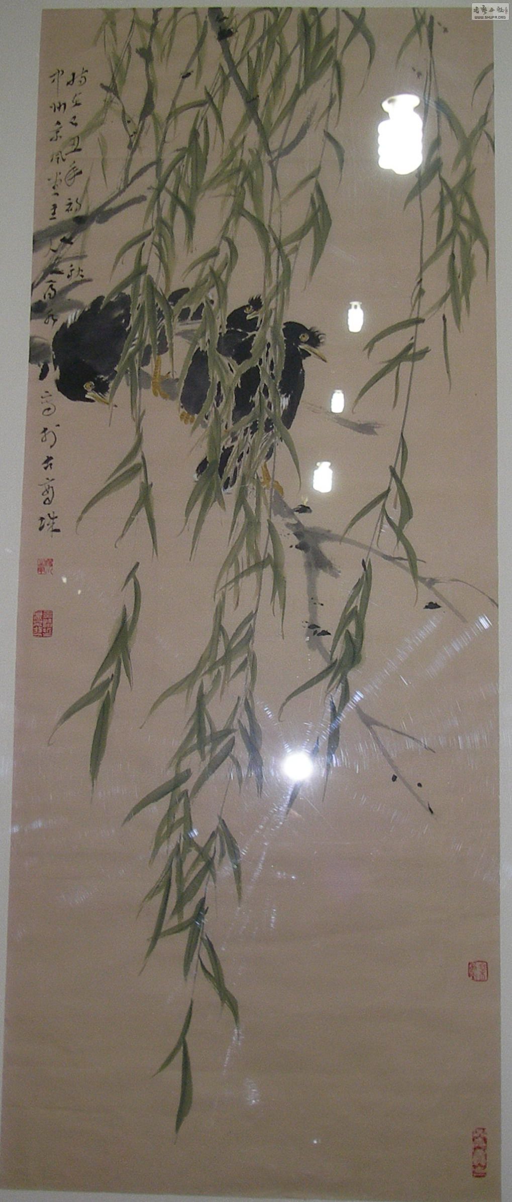 P1010070.jpg