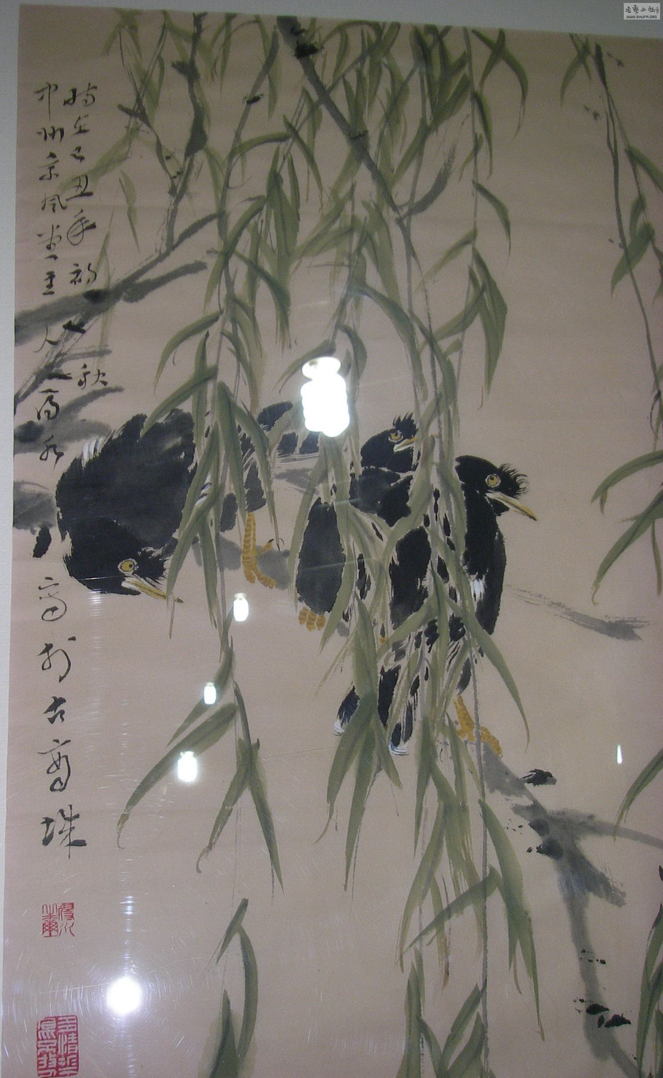 P1010071.jpg