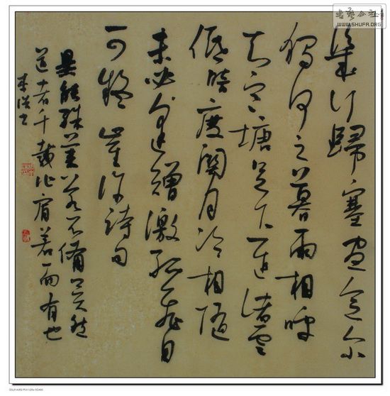 DSC09306.jpg