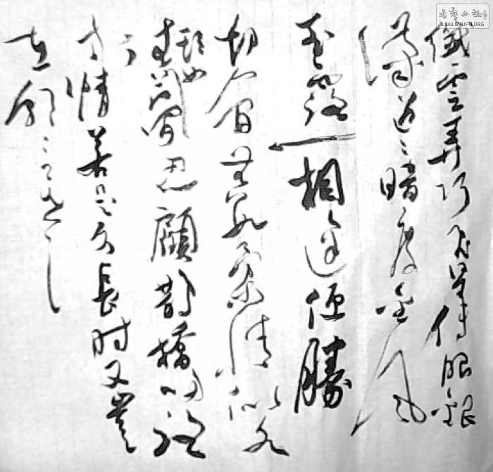 ͼƬ 006.jpg