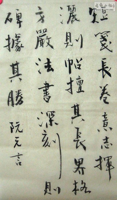 鷨 010x.jpg