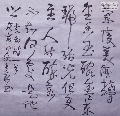 SDC11779.JPG