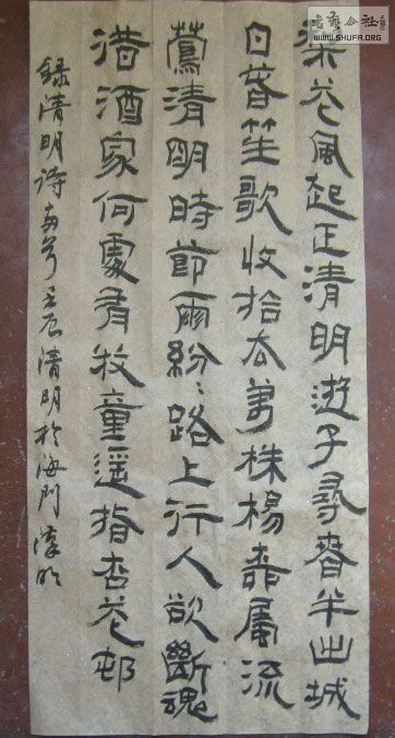 STP61039.jpg
