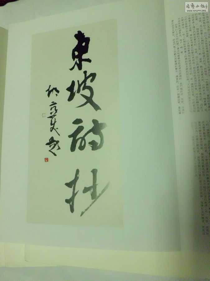 CIMG8220.JPG