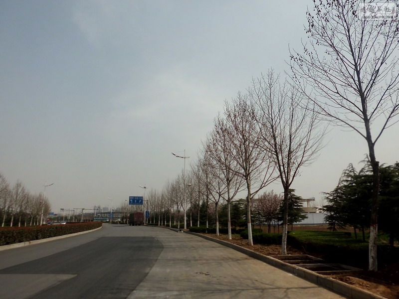 CIMG0968.jpg