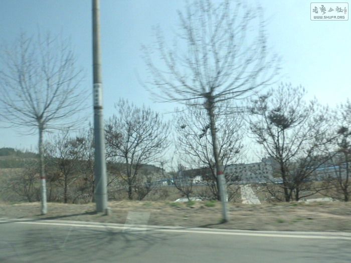 CIMG1101.jpg