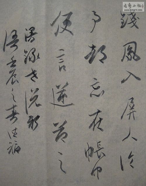 ŵ¸Ʒֲ.JPG