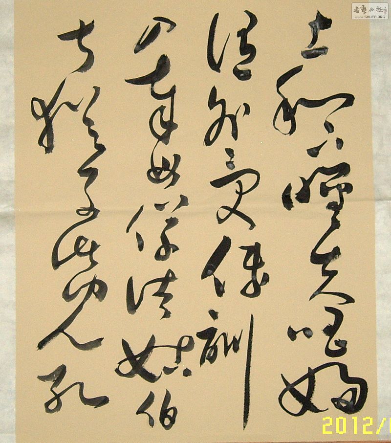 SUC53235.JPG