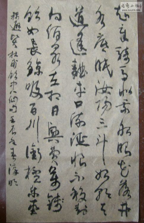 STP610406.jpg