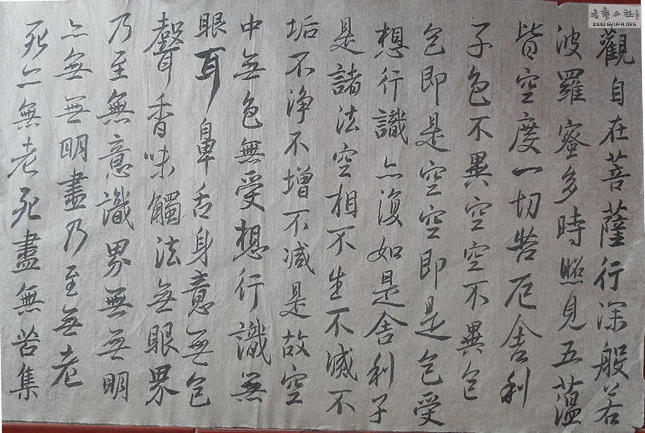 SDC15142_.jpg