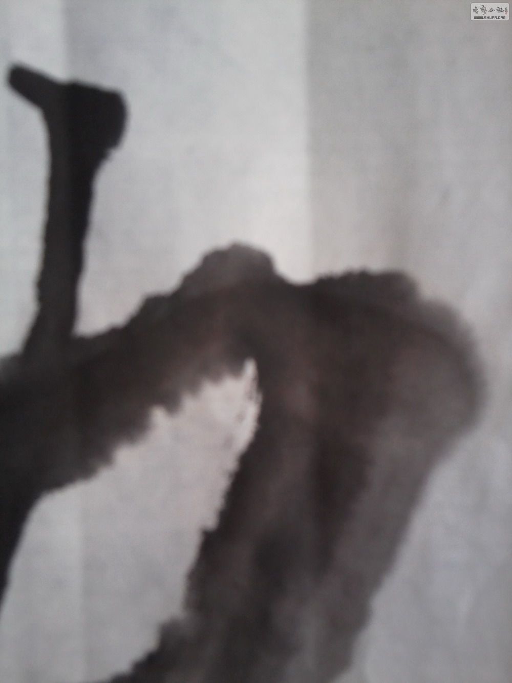 Ƭ0003.jpg