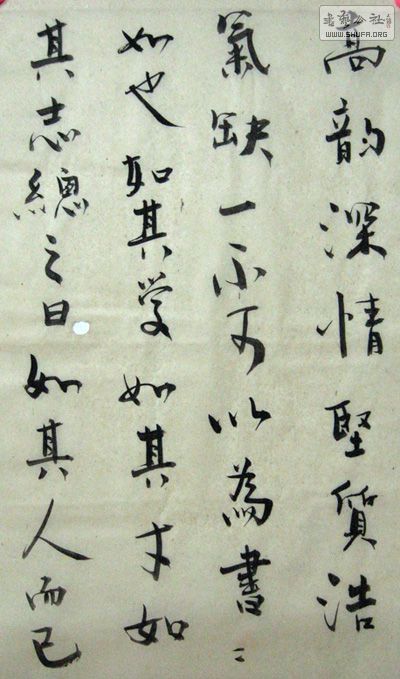 鷨 016x.jpg
