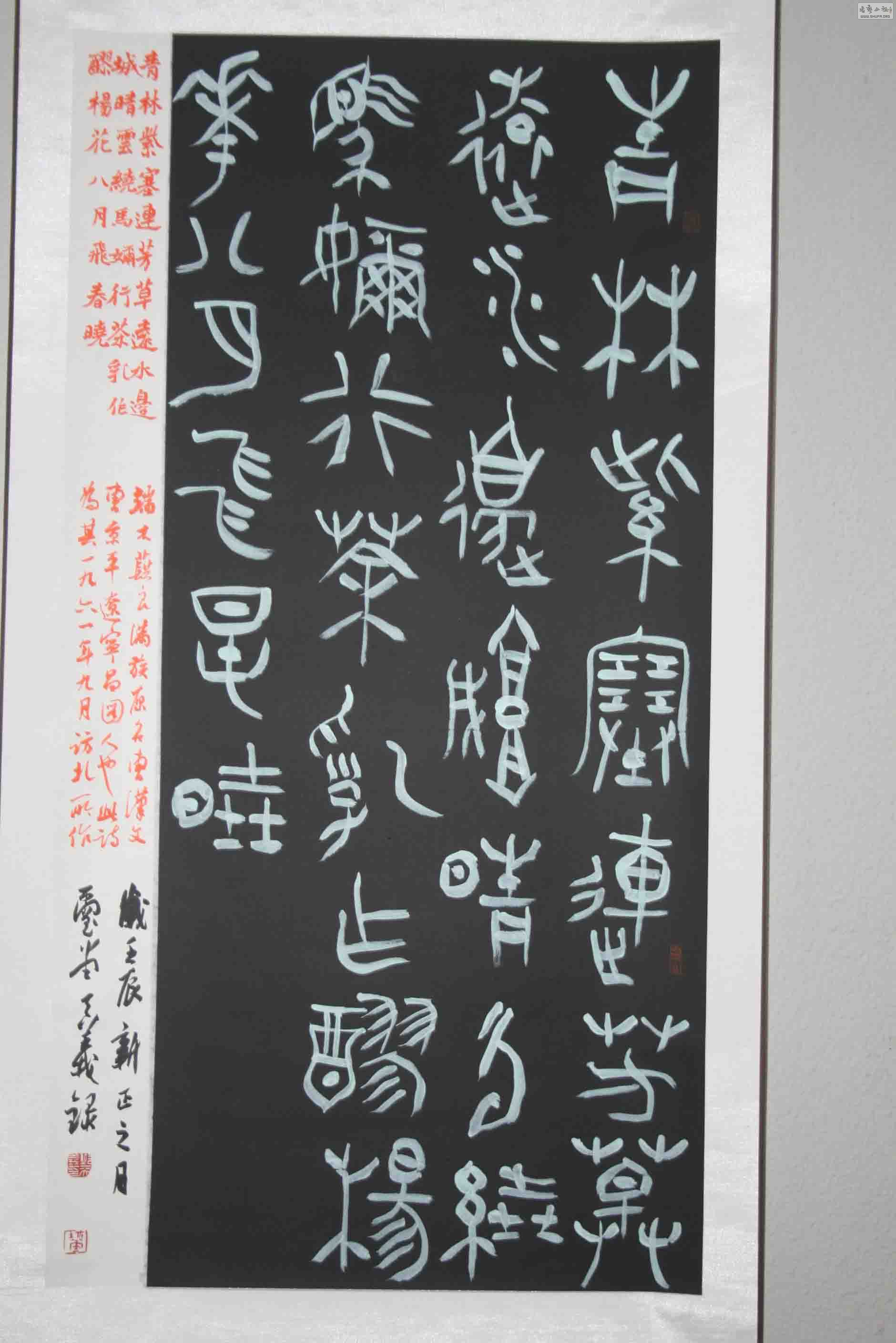 IMG_8905.jpg