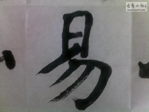 20120428250.jpg