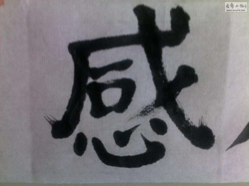 20120428257.jpg