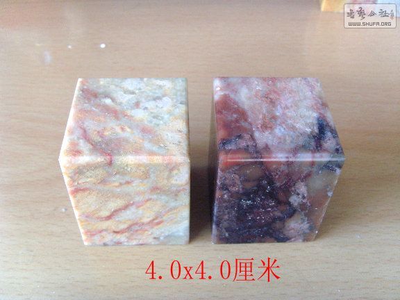 S73R0015.JPG