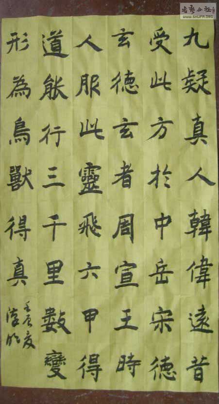 STP61547.jpg