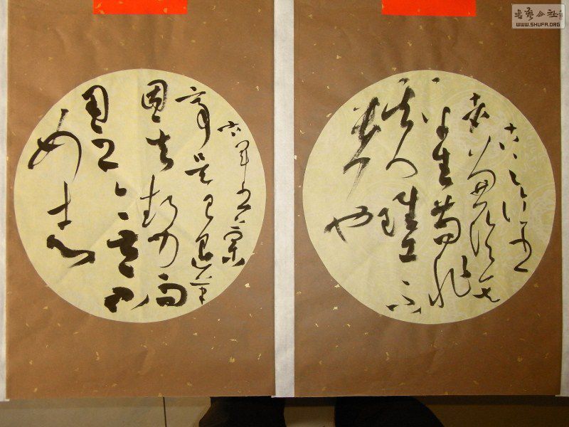 RIMG0838 (800x600).jpg