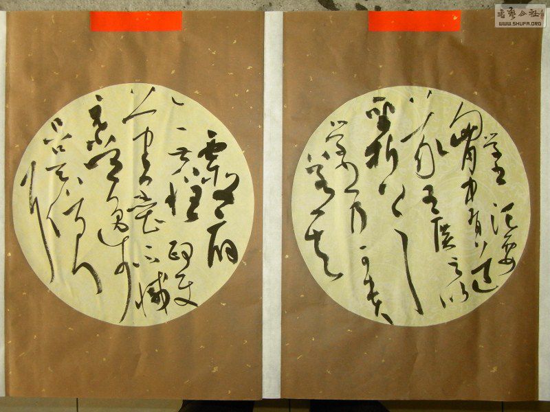 RIMG0832 (800x600).jpg