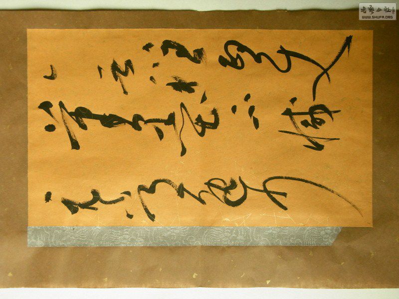 RIMG0857 (800x600).jpg