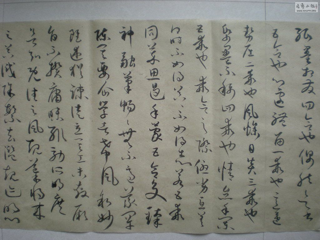 Ƭ 592.jpg