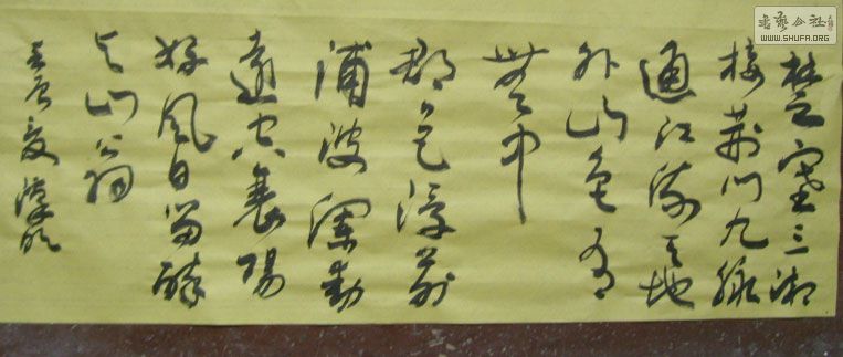 STP61587.JPG