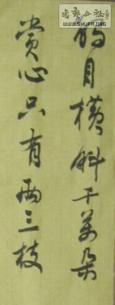 STP61589.JPG