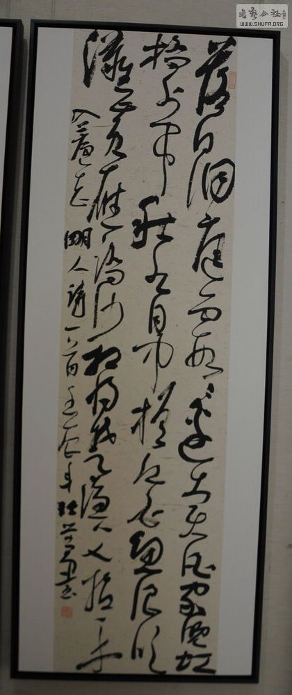DSC_0333.jpg