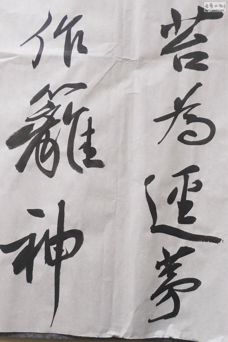 P1010754_1.jpg