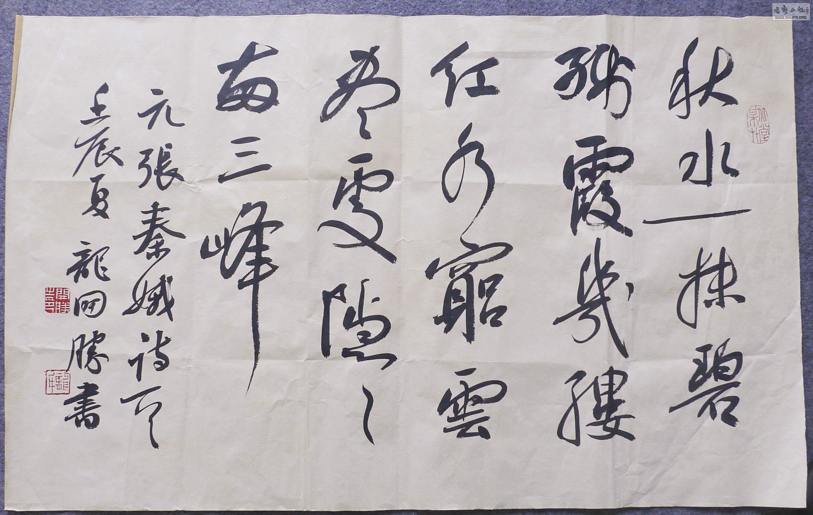 P1010769_1.jpg