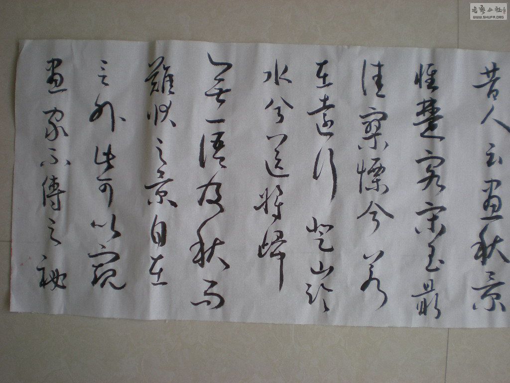 Ƭ 546.jpg