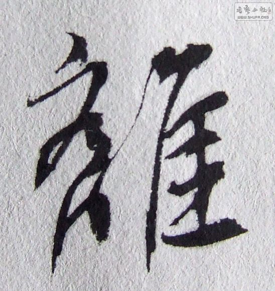 DSCF6231.JPG